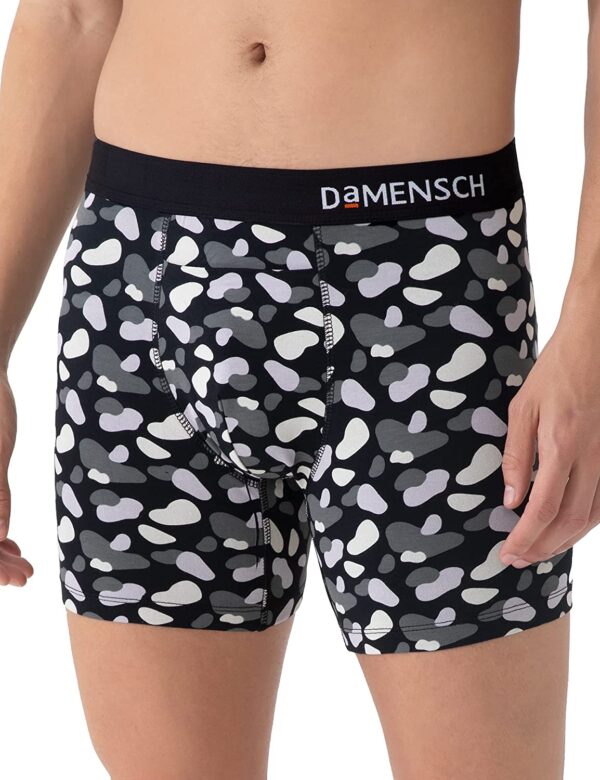 DAMENSCH Men Boxer Brief